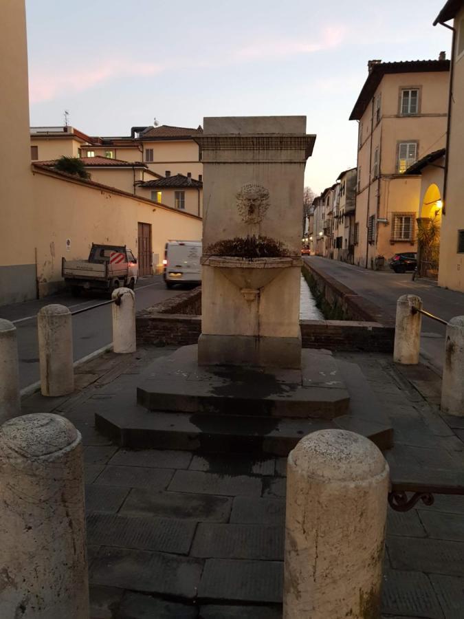 Wanda's Lucca